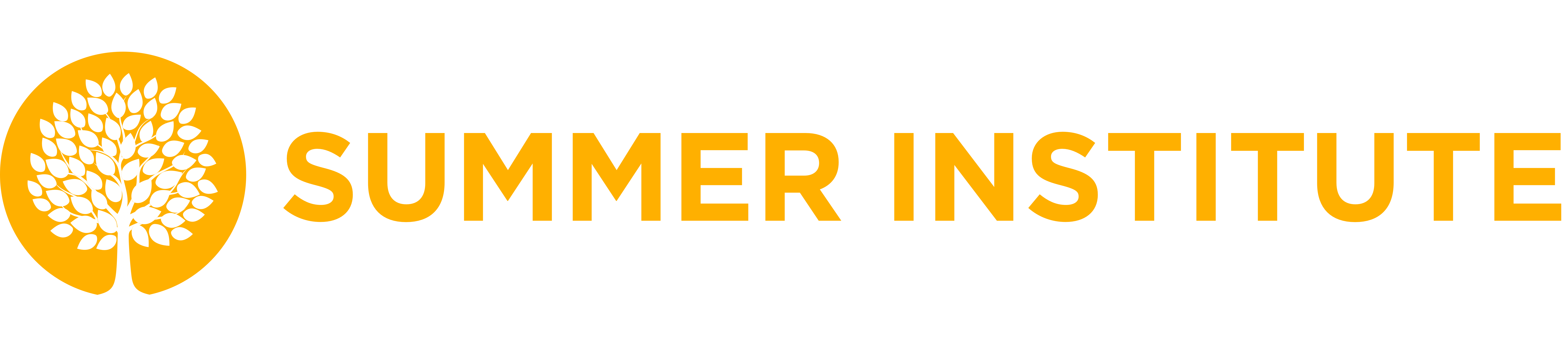 Summer Institute