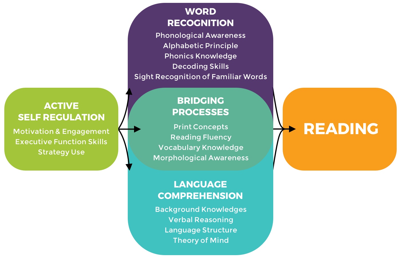 Reading Essentials Infographic